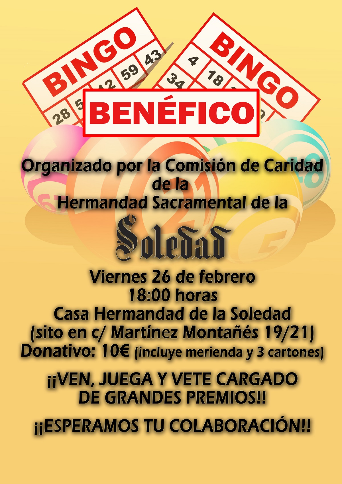 Bingo solidario